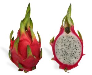 dragon fruit farming, dragon fruit in india, dragon fruit price,dragon fruit